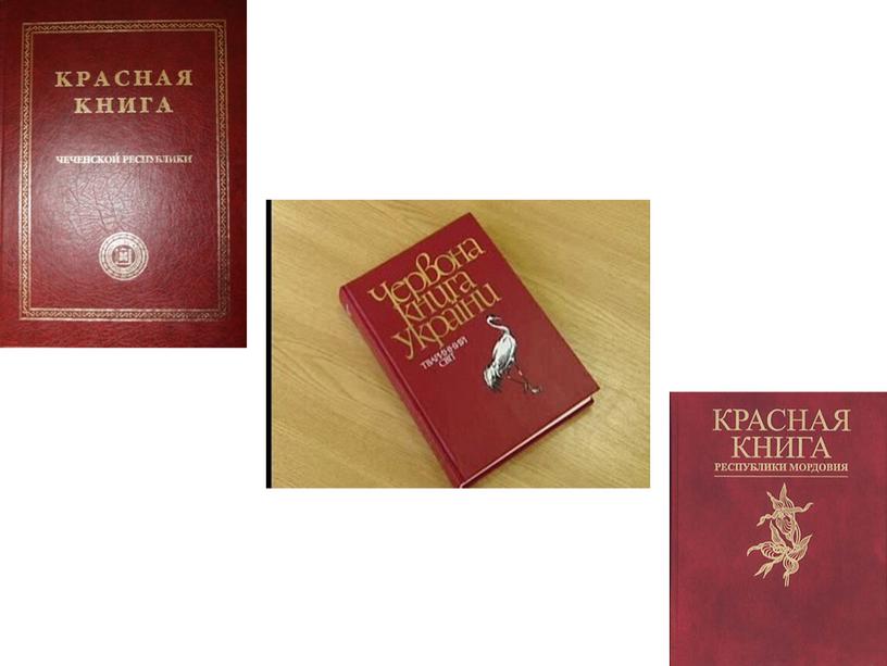 Красная книга