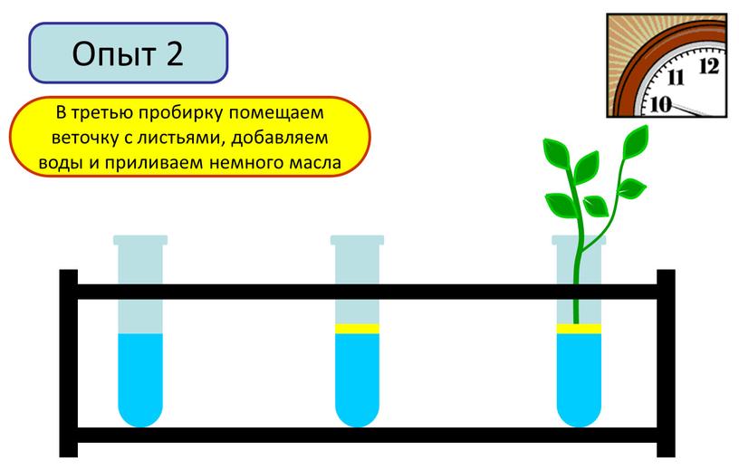 Опыт 2 В первую пробирку добавим немного воды