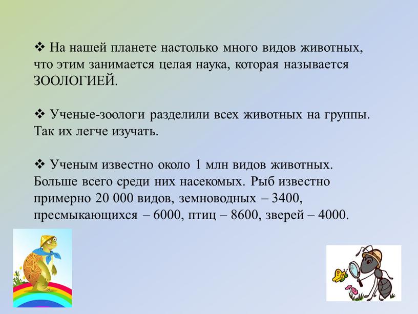 На нашей планете настолько много видов животных, что этим занимается целая наука, которая называется