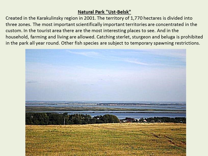 Natural Park "Ust-Belsk" Created in the