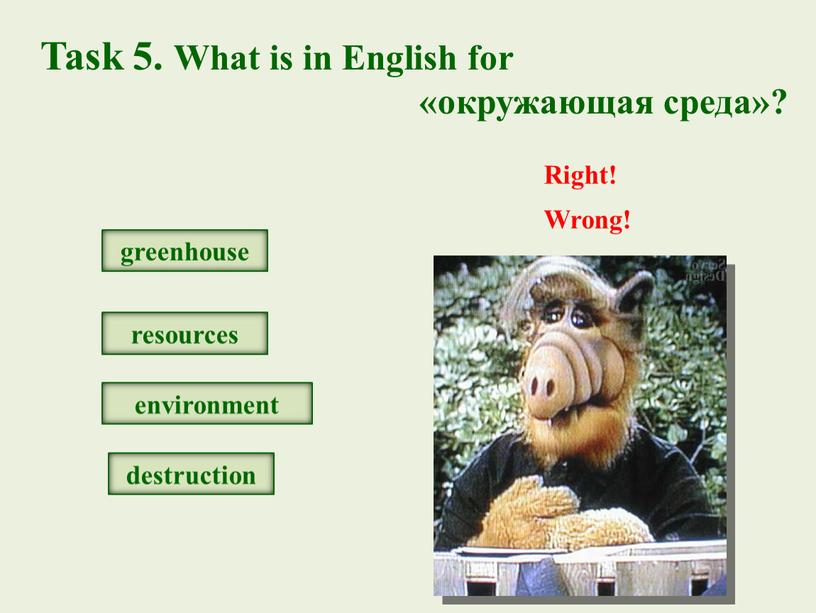 Task 5. What is in English for «окружающая среда»? greenhouse resources environment destruction