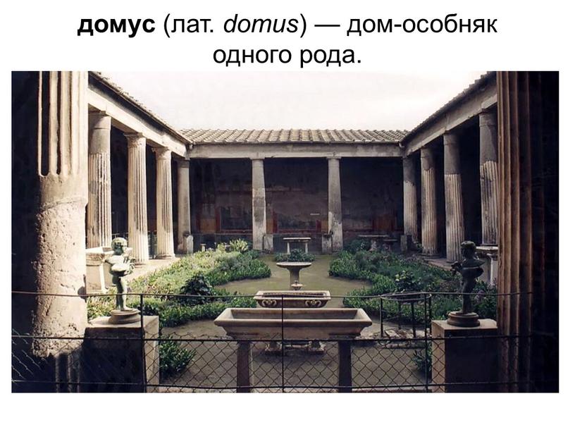 домус (лат. domus ) — дом-особняк одного рода.