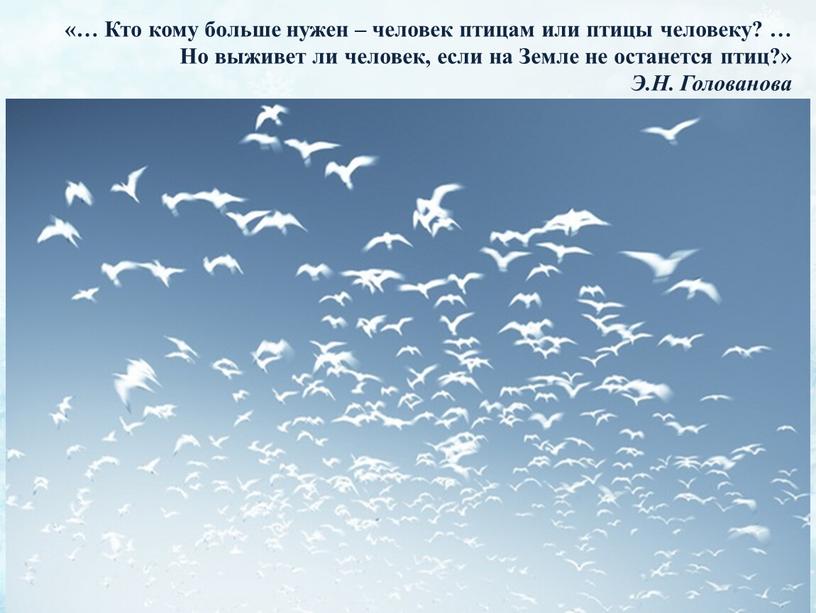 Кто кому больше нужен – человек птицам или птицы человеку? …