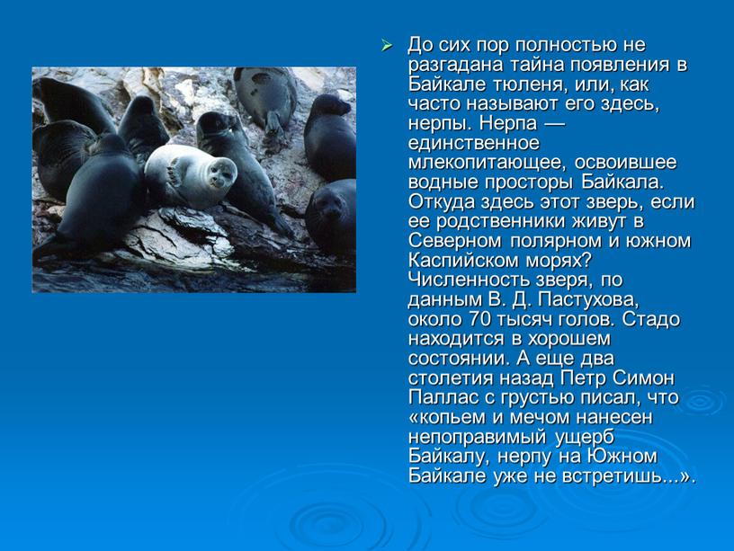 До сих пор полностью не разгадана тайна появления в