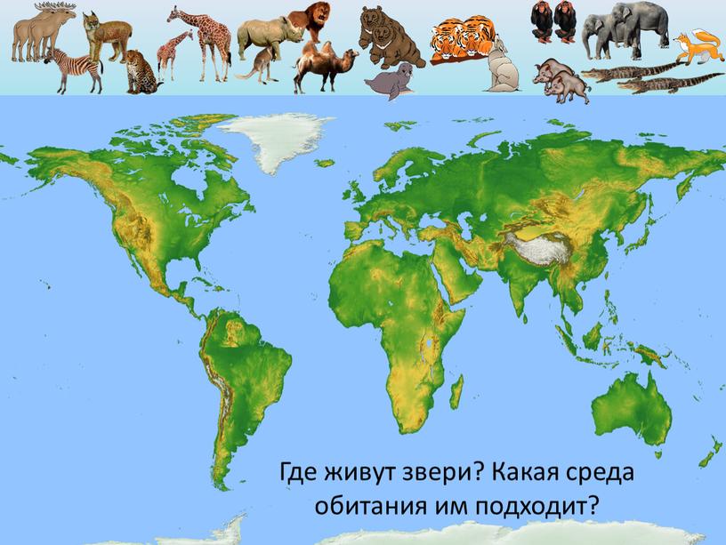 Где живут звери? Какая среда обитания им подходит?