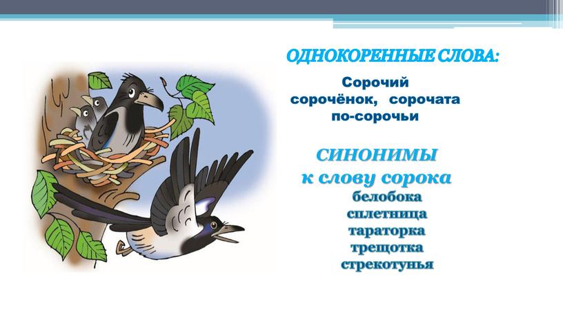 Однокоренные слова: Сорочий сорочёнок, сорочата по-сорочьи