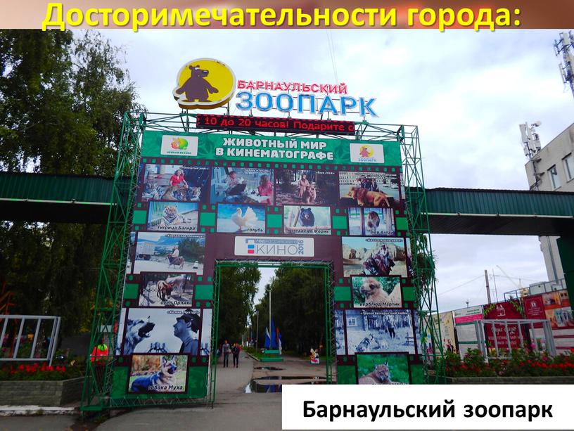 Досторимечательности города: Барнаульский зоопарк j