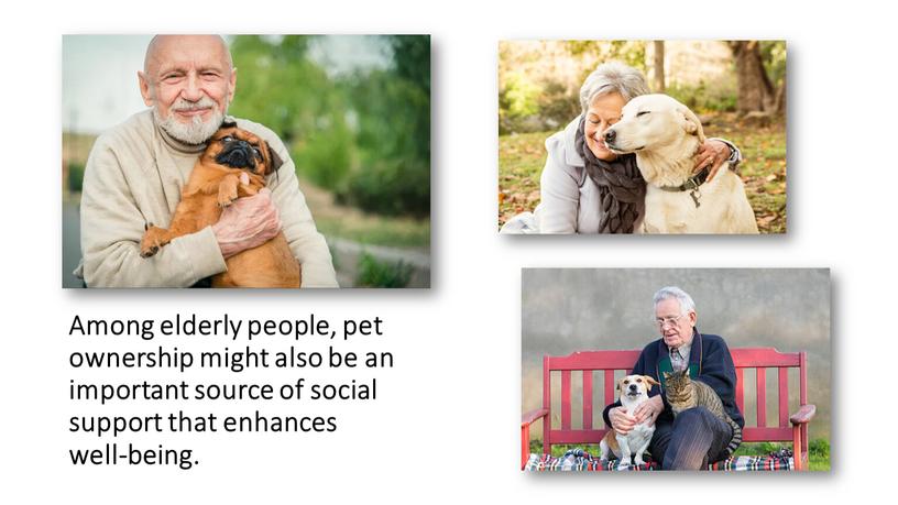 Among elderly people, pet ownership might also be an important source of social support that enhances well-being