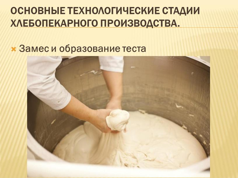 Основные технологические стадии хлебопекарного производства