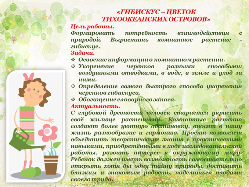 ГИБИСКУС – ЦВЕТОК ТИХООКЕАНСКИХ