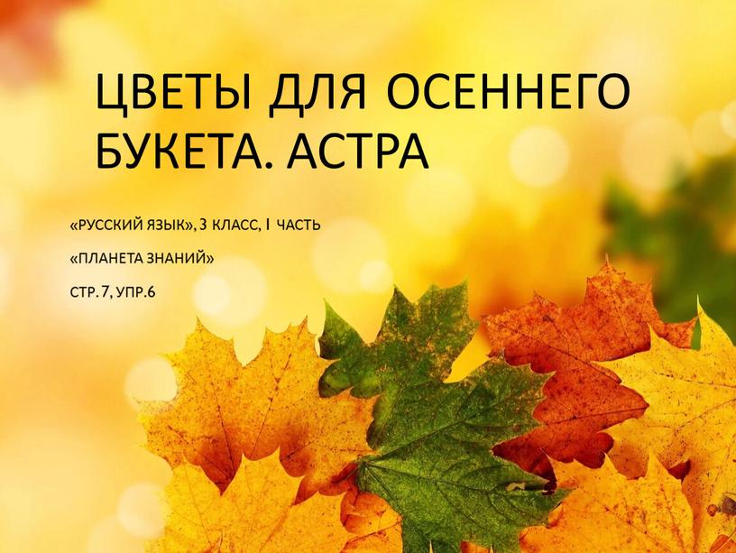 Цветы для осеннего букета. астра «Русский язык», 3 класс, 1 часть «Планета знаний»