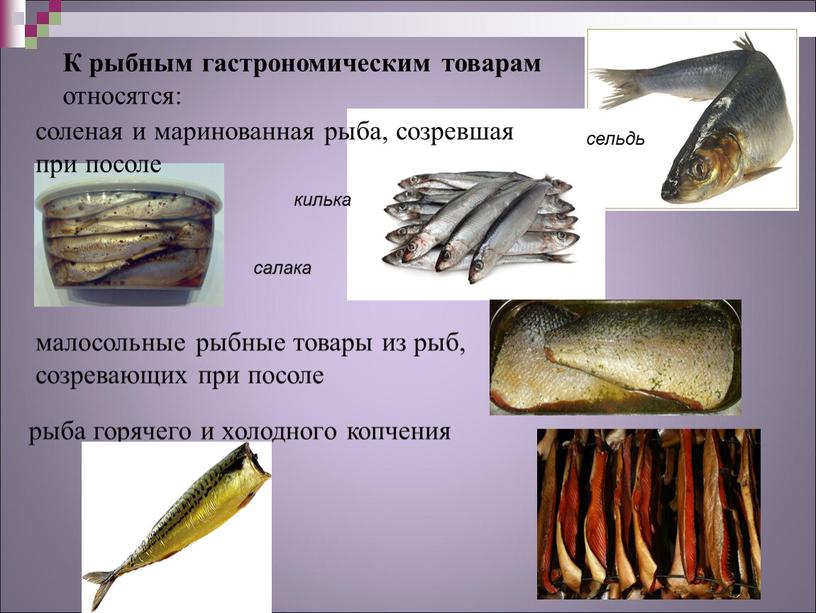 К рыбным гастрономическим товарам относятся: соленая и маринованная рыба, созревшая при посоле сельдь салака килька малосольные рыбные товары из рыб, созревающих при посоле рыба горячего…