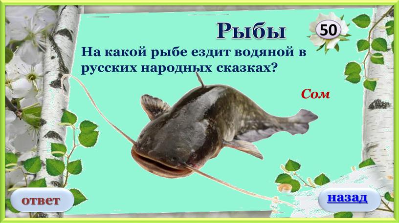 Сом На какой рыбе ездит водяной в русских народных сказках? 50