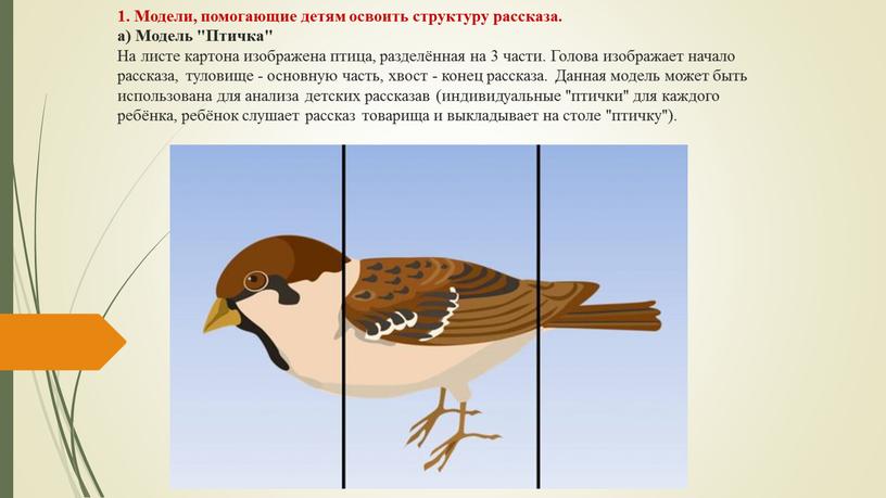 Модели, помогающие детям освоить структуру рассказа