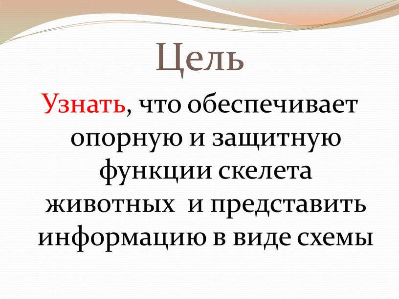 Цель Узнать, что обеспечивает опорную и защитную функции скелета животных и представить информацию в виде схемы