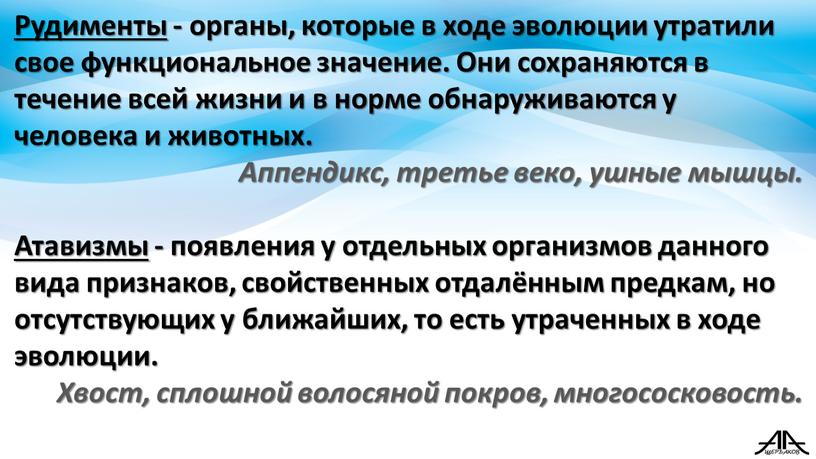 Рудименты - органы, которые в ходе эволюции утратили свое функциональное значение