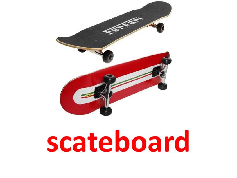 scateboard