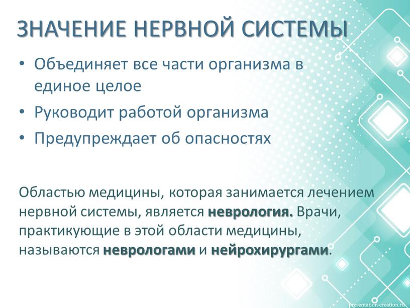 ЗНАЧЕНИЕ НЕРВНОЙ СИСТЕМЫ Объединяет все части организма в единое целое