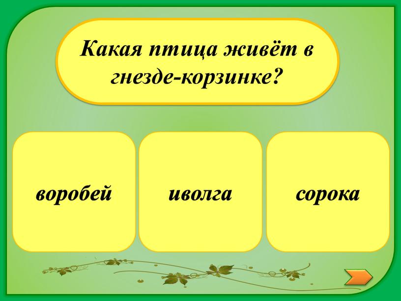 Какая птица живёт в гнезде-корзинке? сорока воробей