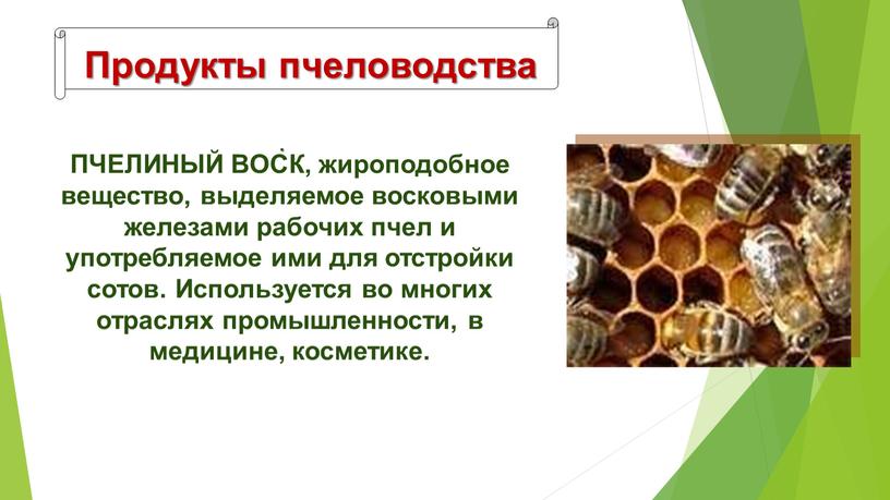 Продукты пчеловодства ПЧЕЛИНЫЙ