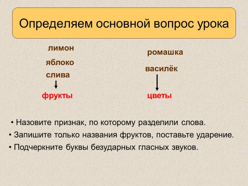 Определяем основной вопрос урока лимон ромашка василёк яблоко слива фрукты цветы