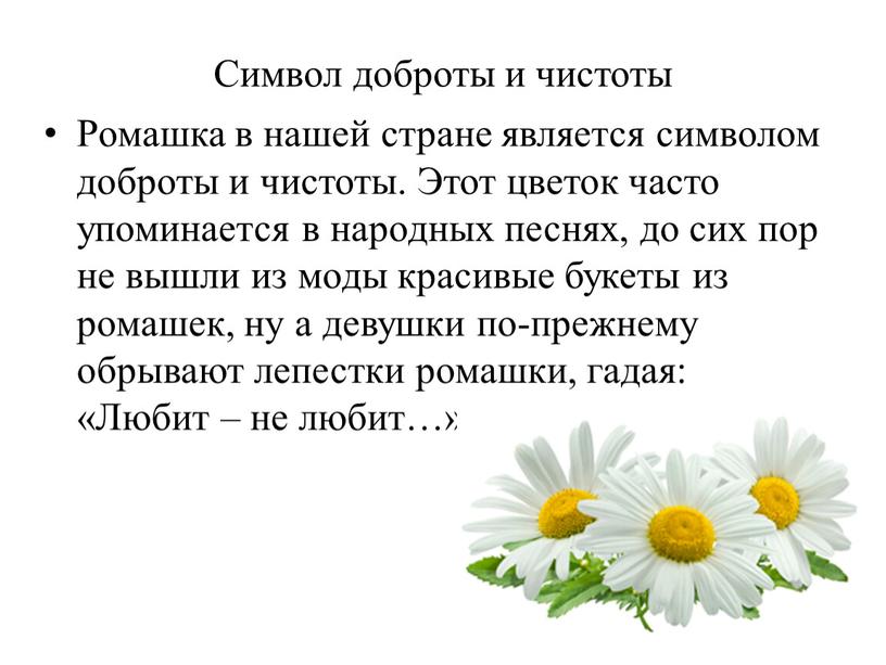 Символ доброты и чистоты Ромашка в нашей стране является символом доброты и чистоты