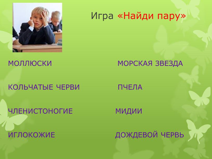 Игра «Найди пару» МОЛЛЮСКИ