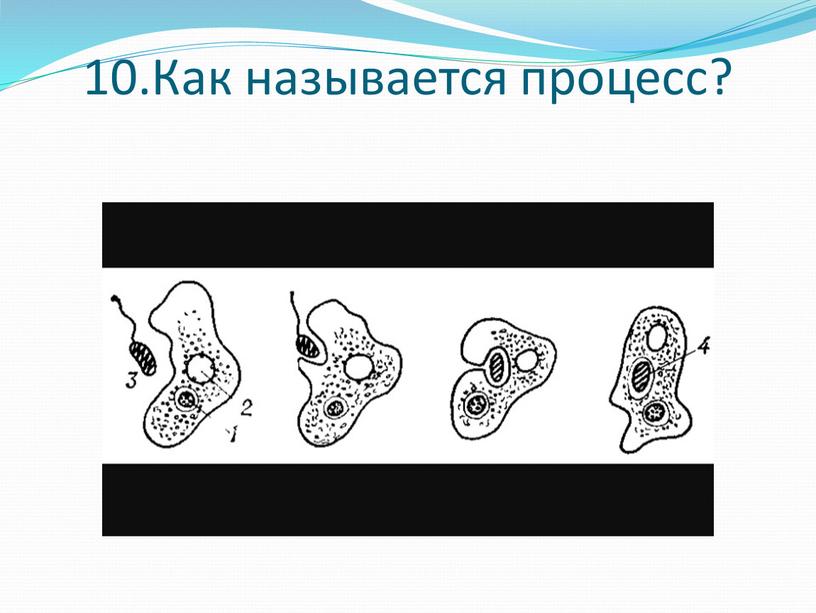 10.Как называется процесс?