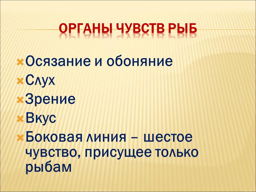 Органы чувств рыб Осязание и обоняние