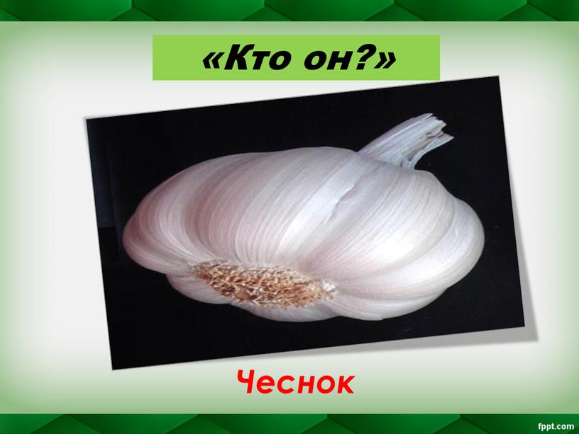 «Кто он?» Чеснок