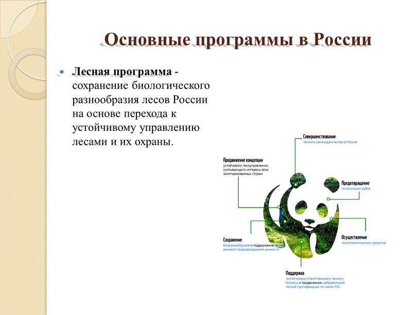 Основные программы в России Лесная программа -сохранение биологического разнообразия лесов