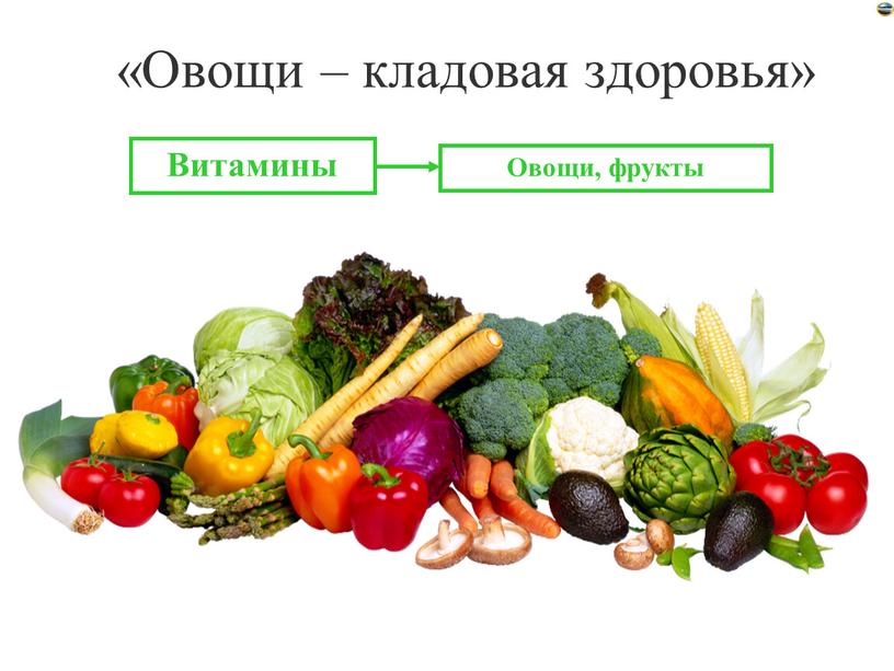 Овощи – кладовая здоровья» Витамины