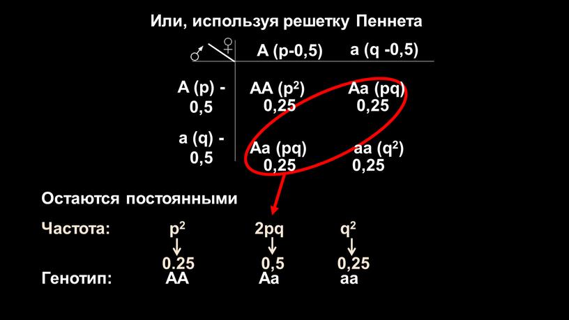 A (p-0,5) a (q -0,5) A (p) -0,5 a (q) -0,5