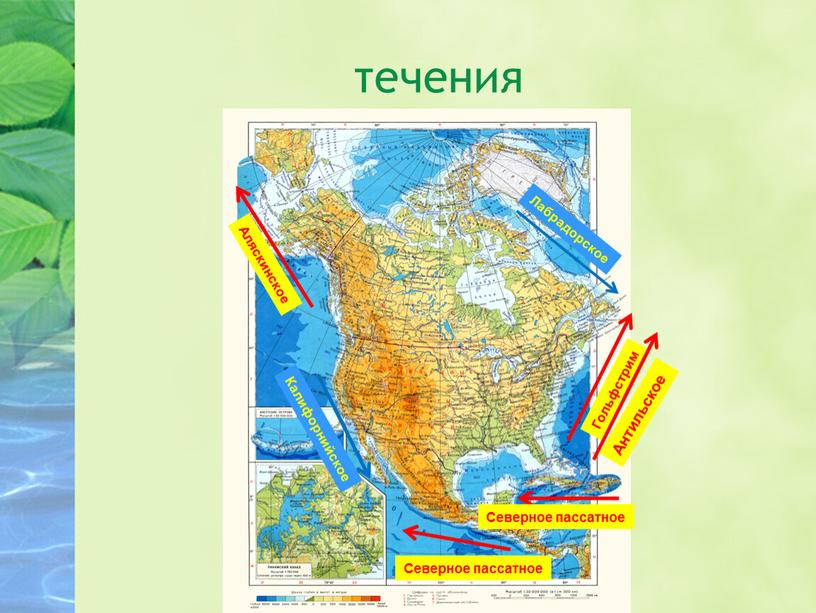 Аляскинское Северное пассатное