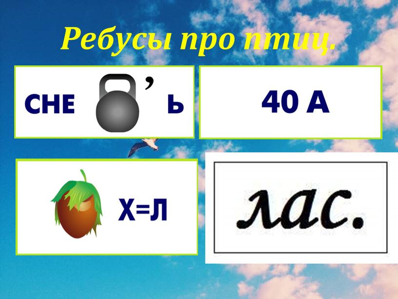 Ребусы про птиц.