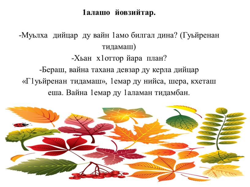 Муьлха дийцар ду вайн 1амо билгал дина? (Гуьйренан тидамаш) -Хьан х1оттор йара план? -Бераш, вайна тахана девзар ду керла дийцар «Г1уьйренан тидамаш», 1емар ду нийса,…