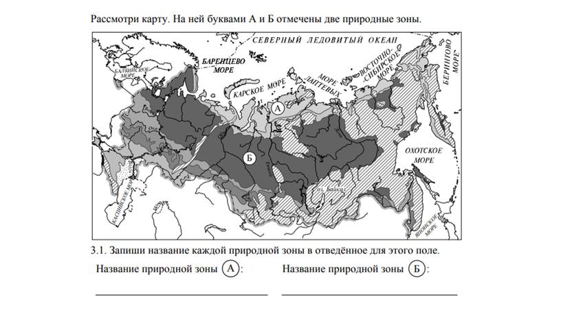 Подготовка к ВПР по окружающему миру