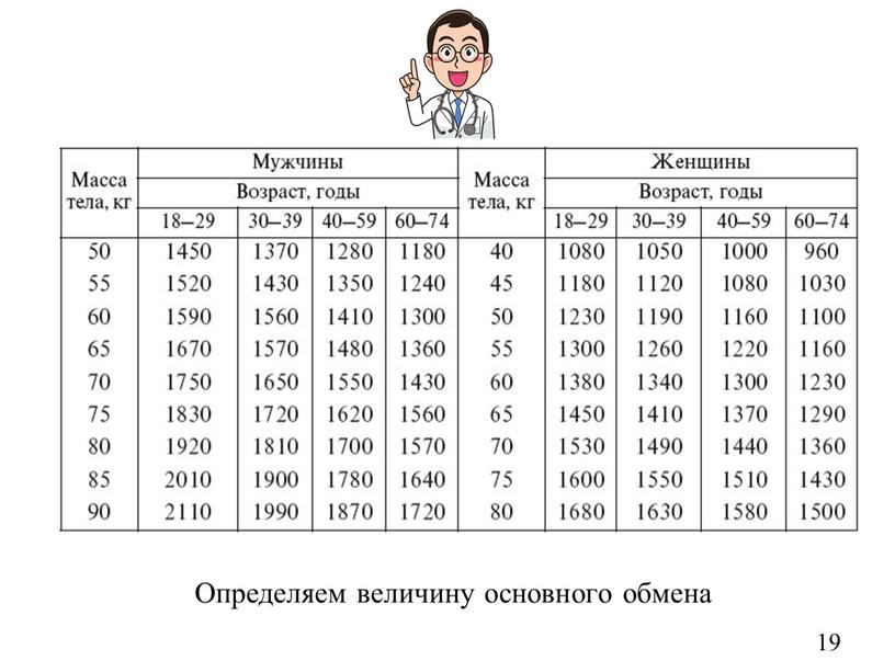 Определяем величину основного обмена