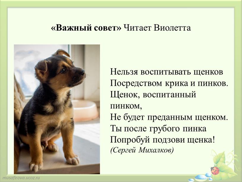 Важный совет» Читает Виолетта