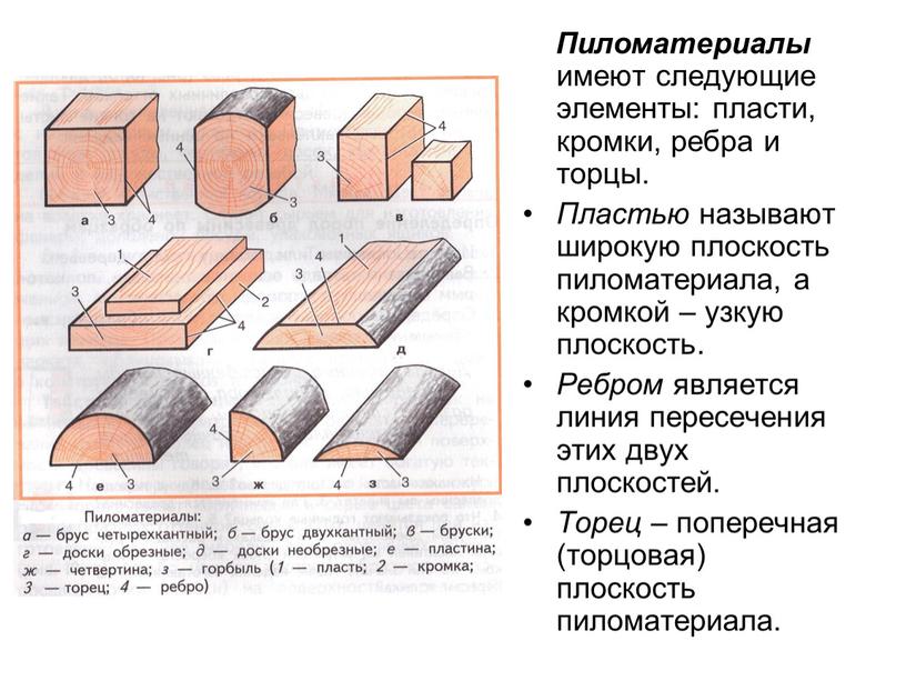 Пиломатериалы имеют следующие элементы: пласти, кромки, ребра и торцы