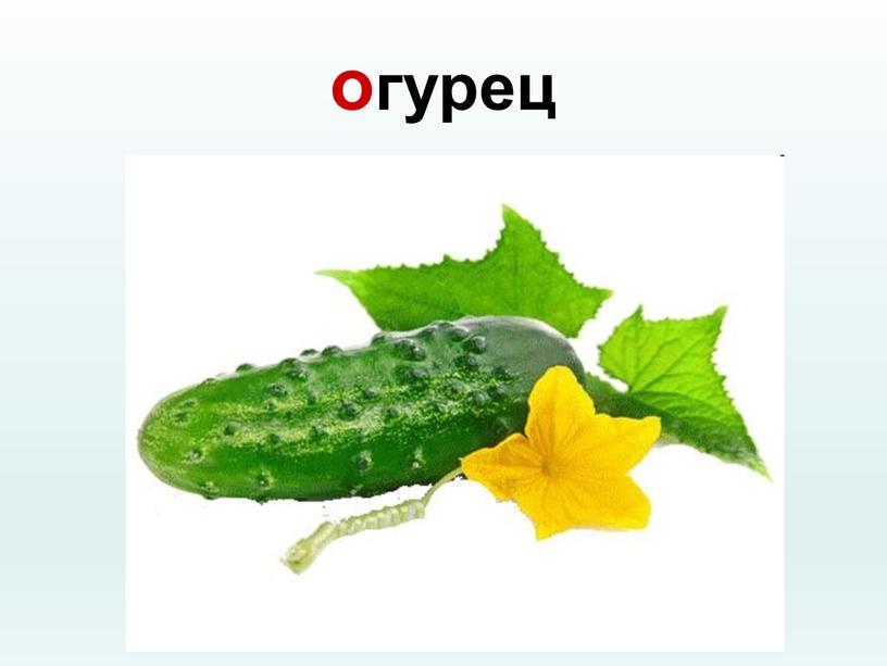 огурец