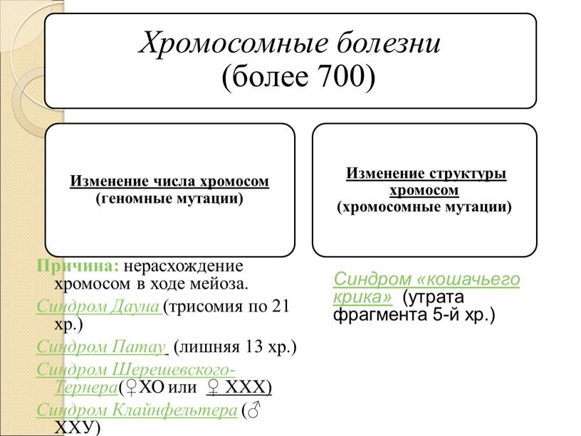 Хромосомные болезни (более 700) а) изменение числа хромосом (геномные мутации) б) изменение структуры хромосом (хромосомные мутации)