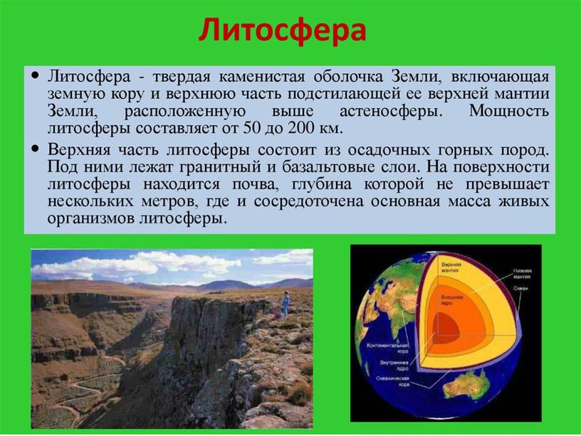 Урок на тему: " Биосфера- живая оболочка Земли. Структура биосферы