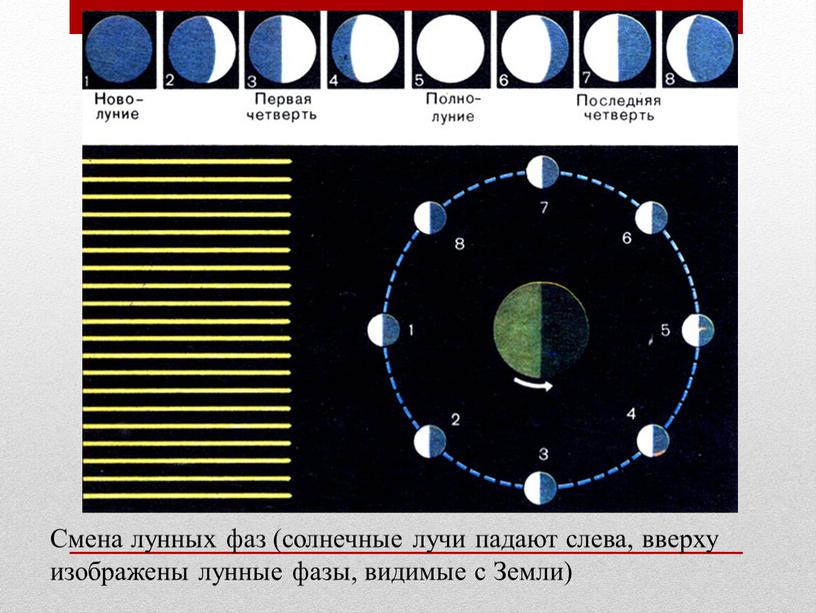 Смена лунных фаз (солнечные лучи падают слева, вверху изображены лунные фазы, видимые с