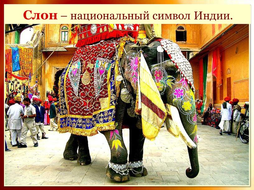 Слон – национальный символ Индии
