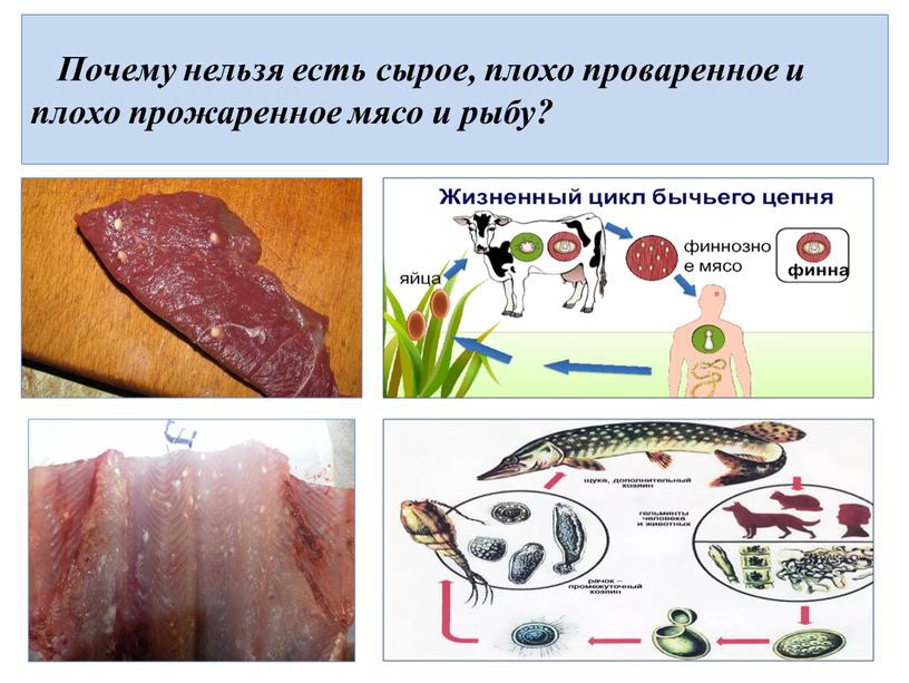 Почему нельзя есть сырое, плохо проваренное и плохо прожаренное мясо и рыбу?