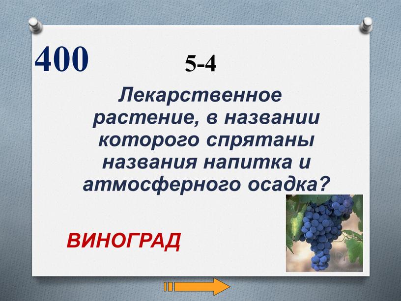 Лекарственное растение, в названии которого спрятаны названия напитка и атмосферного осадка? 400