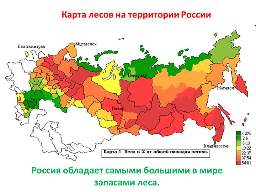 Карта лесов на территории России