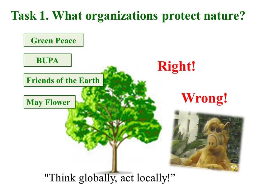 Task 1. What organizations protect nature?