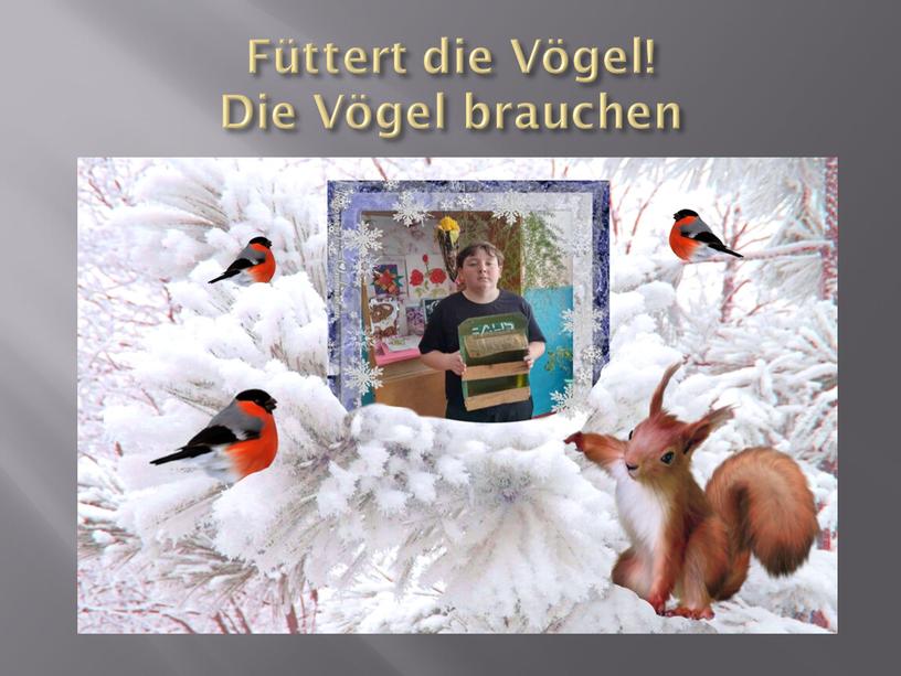 Füttert die Vögel! Die Vögel brauchen